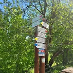 Biała Perła Czarna Góra Sienna (Klodzko)