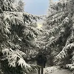 Biała Perła Czarna Góra *