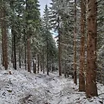 Biała Perła Czarna Góra * Sienna (Klodzko)