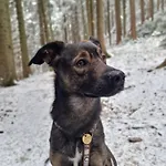 Biała Perła Czarna Góra Sienna (Klodzko)