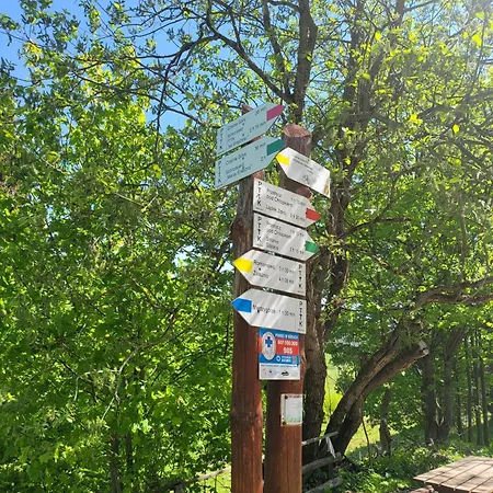 Biala Perla Czarna Gora Heudorf