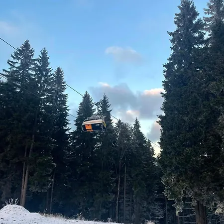 Biala Perla Czarna Gora Lejlighed