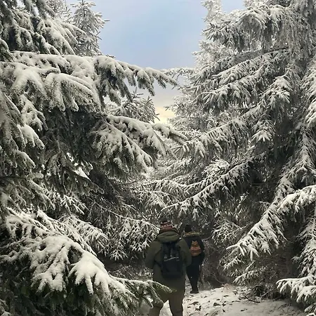Biala Perla Czarna Gora شقة سيينا
