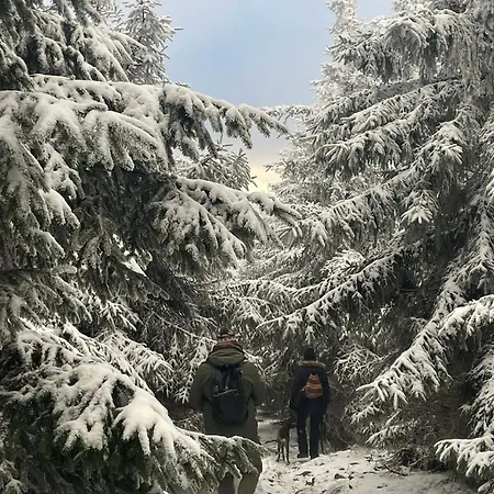 Biala Perla Czarna Gora شقة *