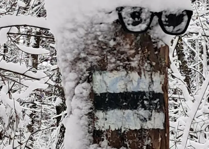 Biala Perla Czarna Gora * Sienna (Klodzko)