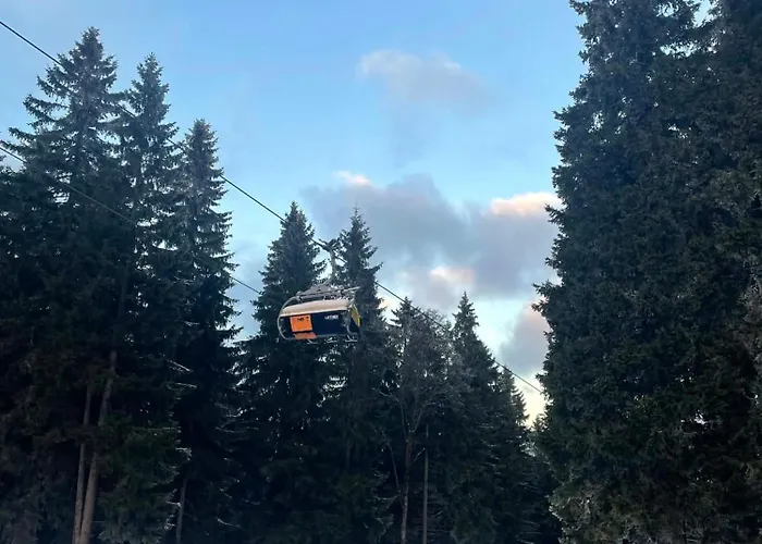 Biala Perla Czarna Gora Lejlighed