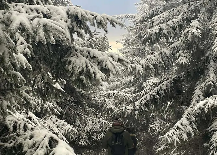 Biala Perla Czarna Gora *