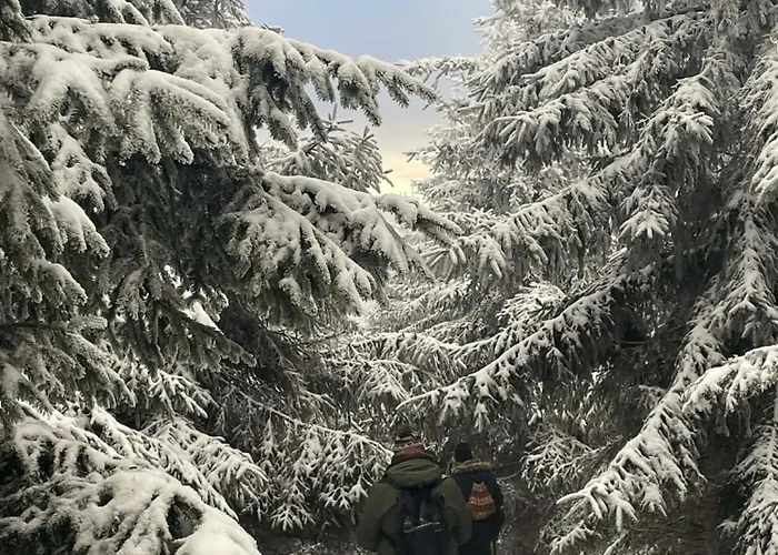 Biala Perla Czarna Gora Lejlighed Sienna (Klodzko)
