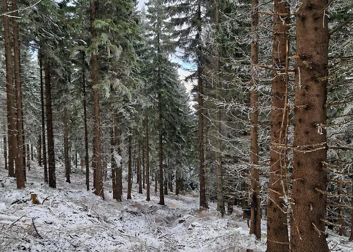 Biala Perla Czarna Gora * Sienna (Klodzko)