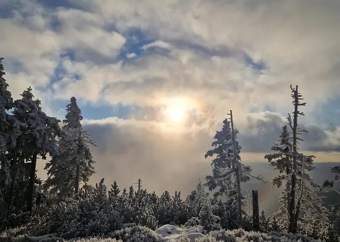 Lejlighed Biala Perla Czarna Gora