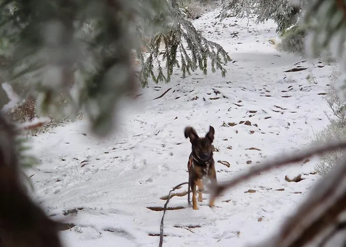 Lejlighed Biala Perla Czarna Gora Sienna (Klodzko)