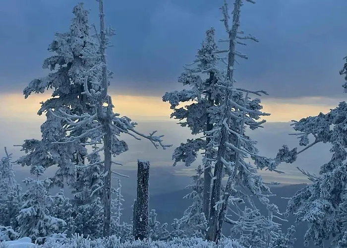 Biala Perla Czarna Gora * Sienna (Klodzko)