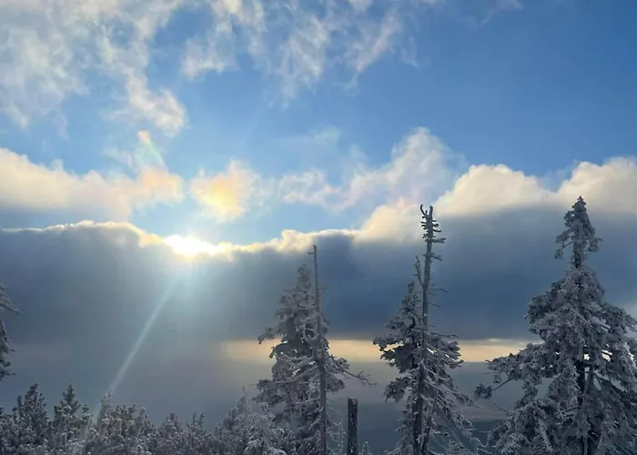 Biala Perla Czarna Gora Apartment *