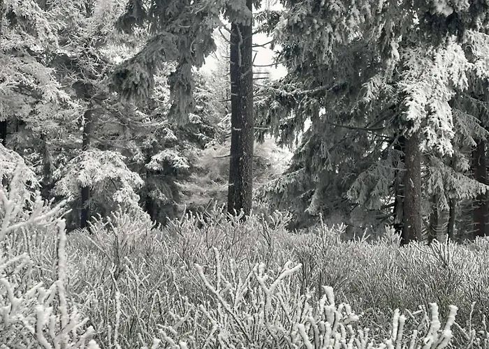 Lejlighed Biala Perla Czarna Gora