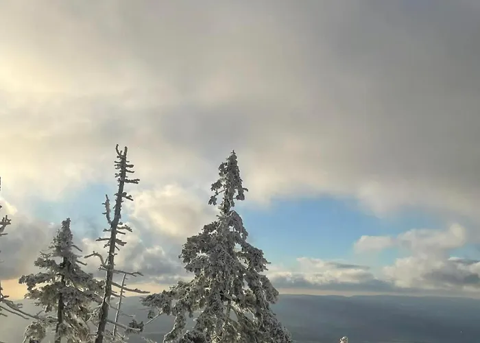 Apartment Biala Perla Czarna Gora *