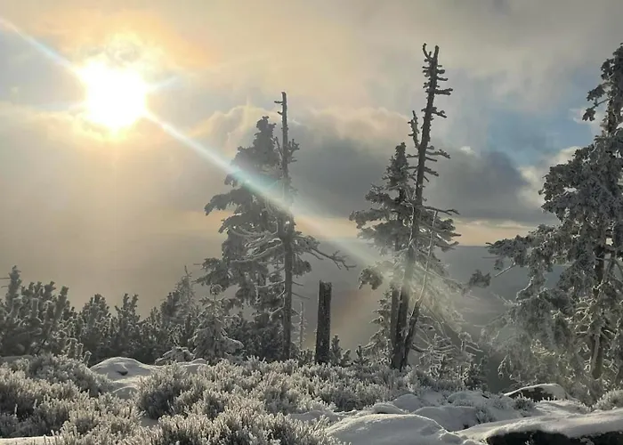Biala Perla Czarna Gora Sienna (Klodzko)