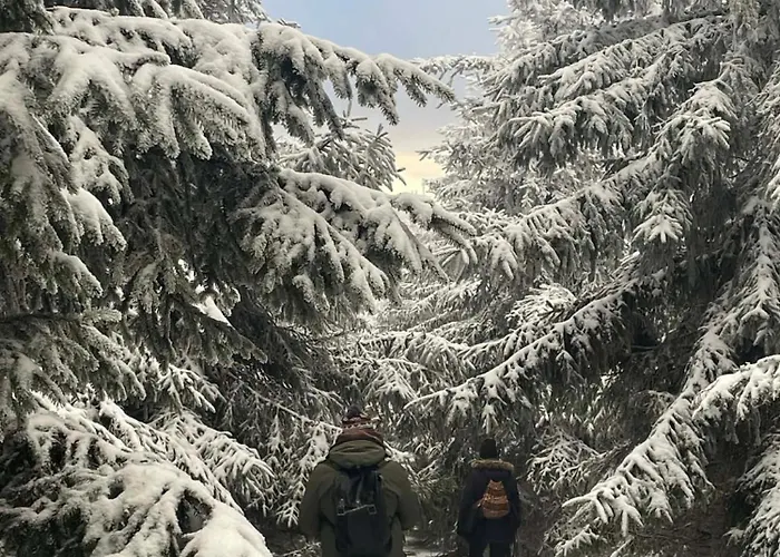 Biala Perla Czarna Gora Lejlighed *