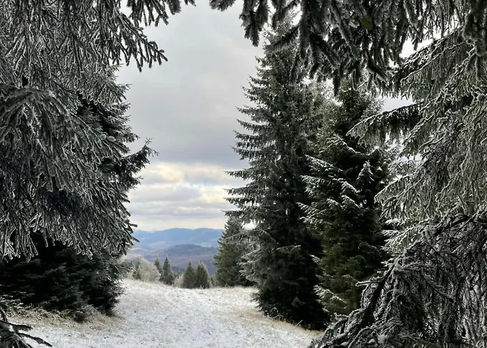 Biala Perla Czarna Gora Apartment