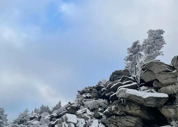 Apartment Biala Perla Czarna Gora